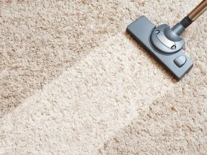 cleaning-carpet-hoover-600nw-373423378